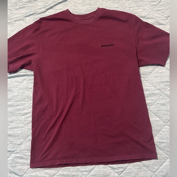 Patagonia Other - PATAGONIA. Large. Excellent condition!